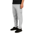 Jogger Street Royalty Crest SRH gris atlético puesto